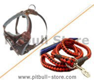 Dog Harness Leash (leather dog harnes with nylon dog lead)